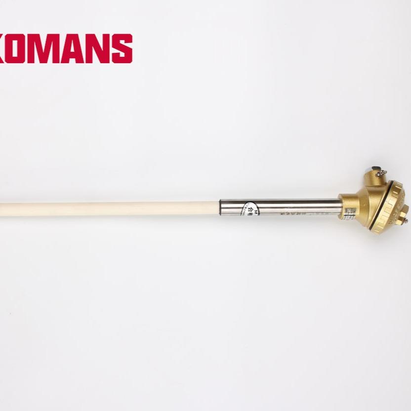 厂家供应 K T J S型热电偶 WRN WRP 刚玉保护管高铝管 温度传感器