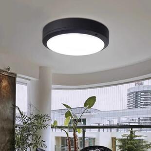 三色变光吸顶灯芯户外防水走廊大门灯人体感应简约室外防虫阳台灯