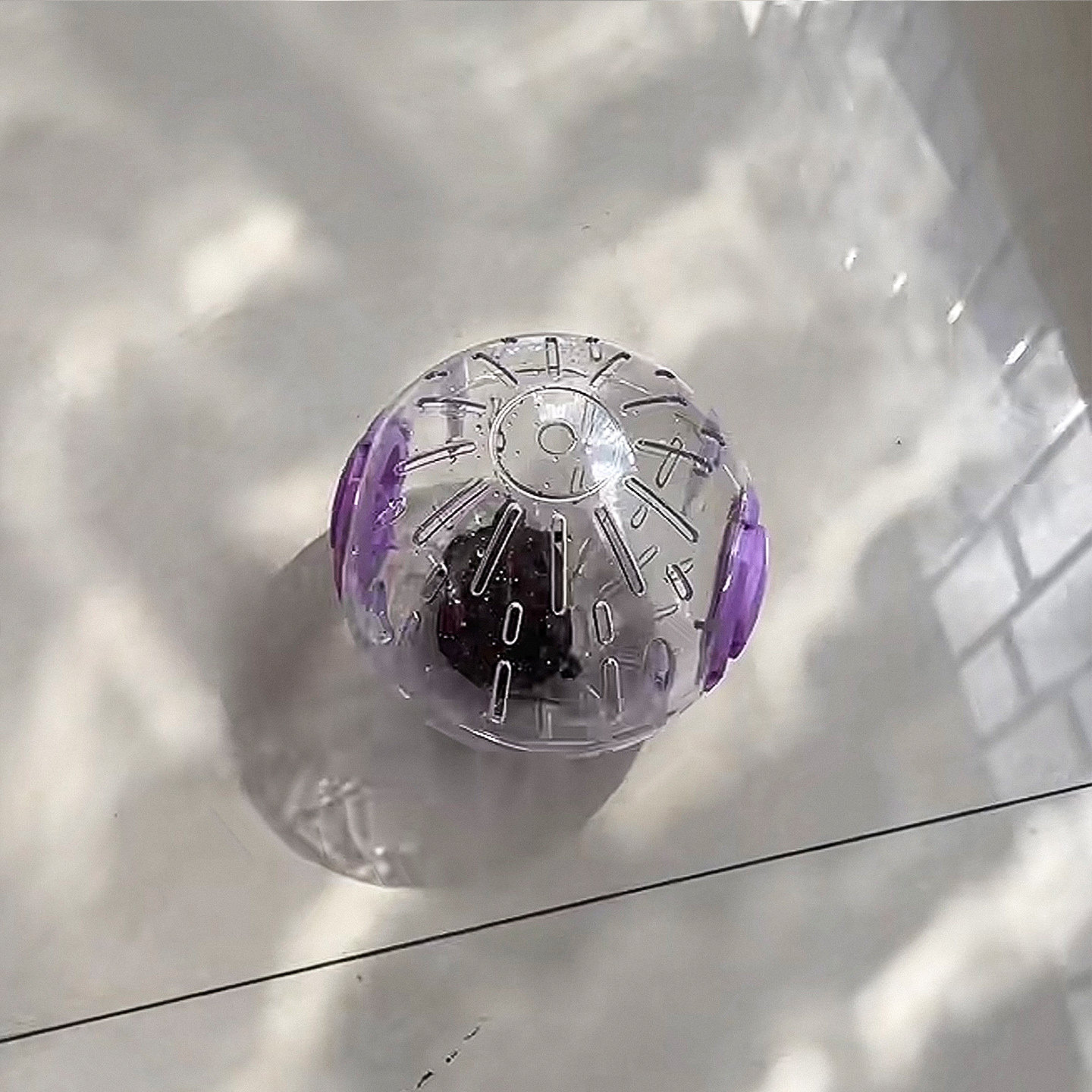 乌龟玩具巴西龟草龟跑步滚球逗龟神器爬宠互动玩具外带笼装饰摆件