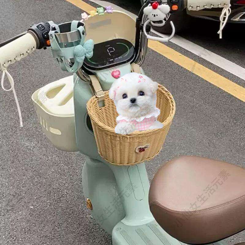 电动车带狗狗神器幼犬比熊踏板前置车筐茶杯犬外出防掉藤编篮座椅