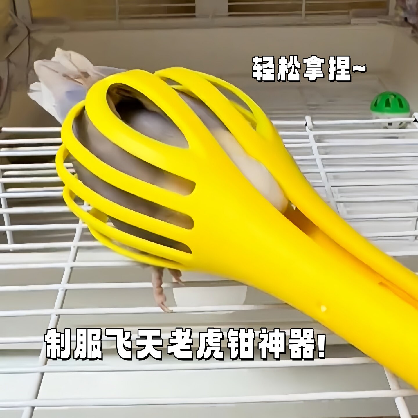 抓鸟神器鹦鹉互动防咬伤夹子牡丹玄凤和尚多功能防抓不伤鸟玩具