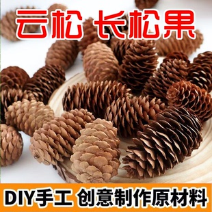 云杉圣诞装 饰品造景鸟用 饰松果干花拍摄道具幼儿园手工diy环创装