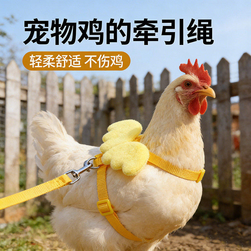 遛鸡绳子溜小鸡柯尔鸭外出专用绳子宠物鸡鸭鹅出门穿的衣服牵引绳