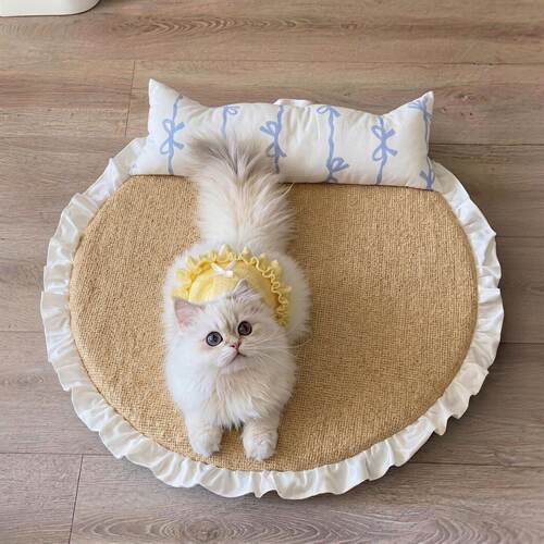 宠物冰垫猫咪凉垫睡垫子狗狗凉席宠物用冰凉垫夏天降温神器趴趴垫
