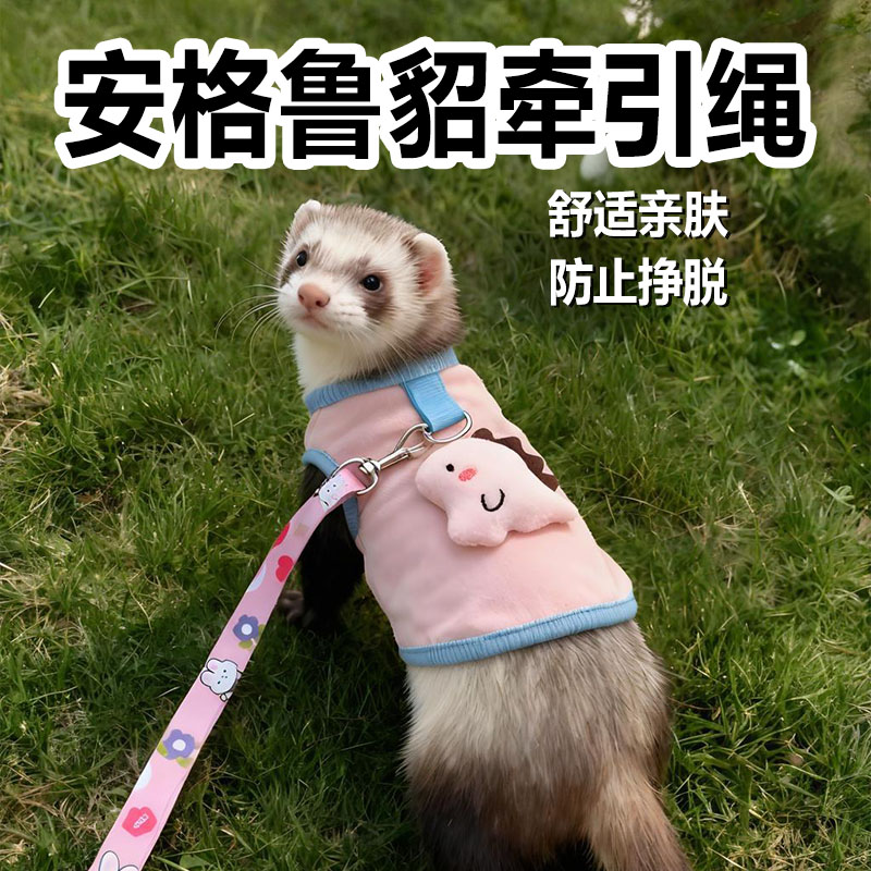 貂牵引绳安格鲁貂衣服专用雪貂背心式生活套装装饰神器宠物用品