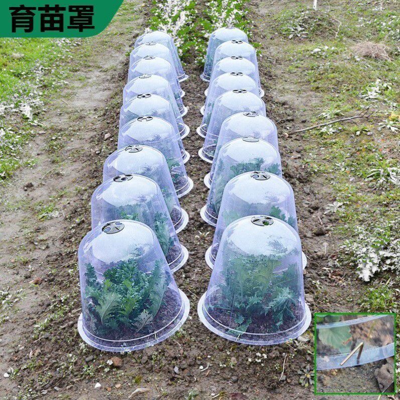 圆形保温罩专用园艺蔬菜育苗加厚塑料透气种植保护幼苗透明保护罩