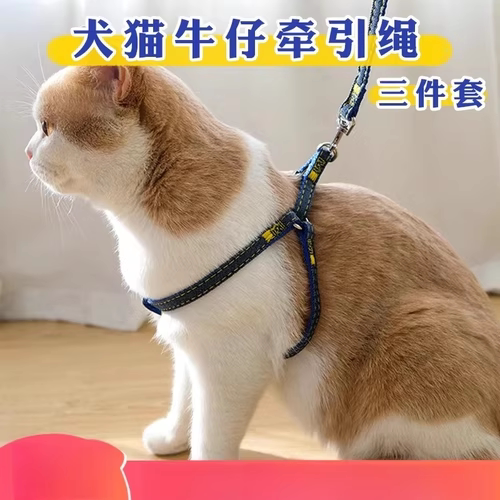 宠物猫咪牵引绳可调节外出专用遛猫绳项圈胸背带防挣脱锚链狗绳子