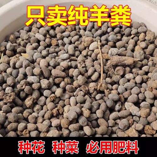 羊粪发酵有机肥纯干羊粪蛋