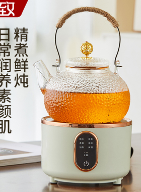 养生壶新款多功能小型烧水煮茶壶
