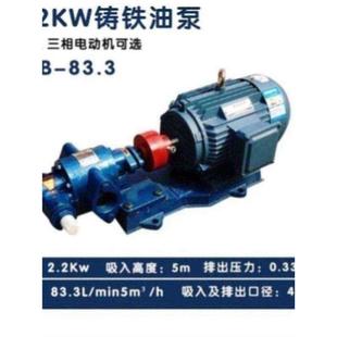 633 齿轮泵KCB 135 960 483.3 200铸铁齿轮油泵KCB 300