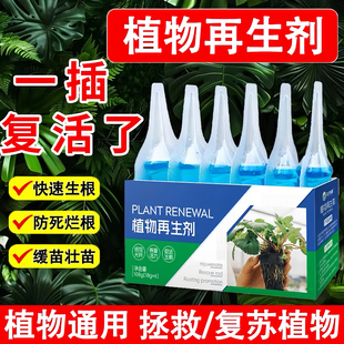 植物再生剂复活液花卉绿植盆栽通用光杆发黄发财树多肉生长营养液