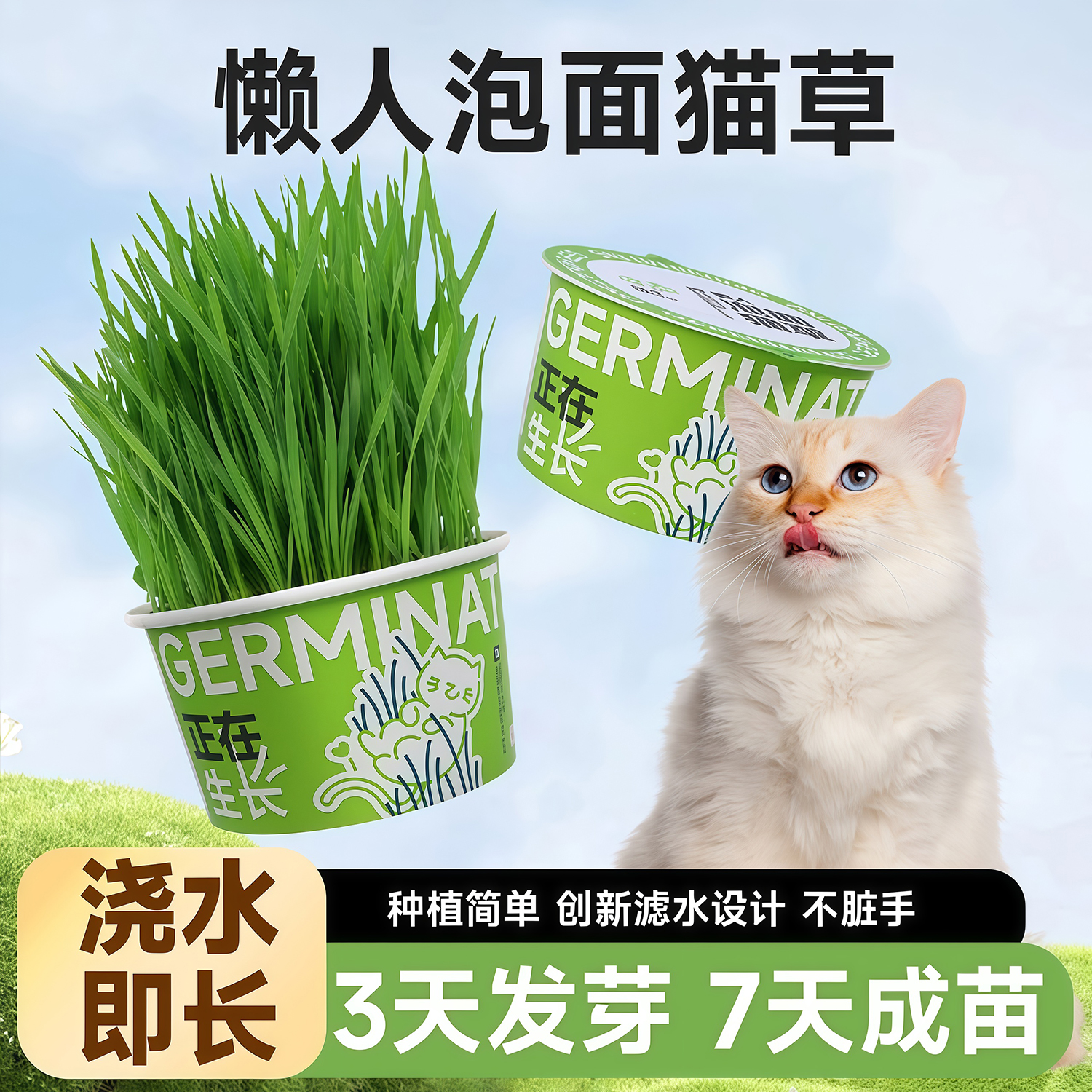 懒人泡面猫草盆栽种子排毛助消化