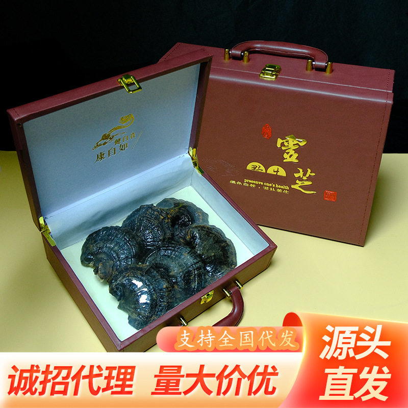 吉林灵芝长白山整朵干紫灵芝泡酒东北林芝切片高档大礼盒装六朵