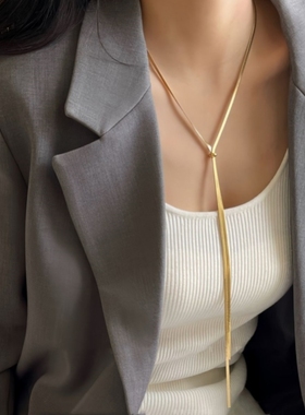 毛衣链轻奢高级感长款秋冬装饰女款抽拉精致极简搭配衣服项链配饰