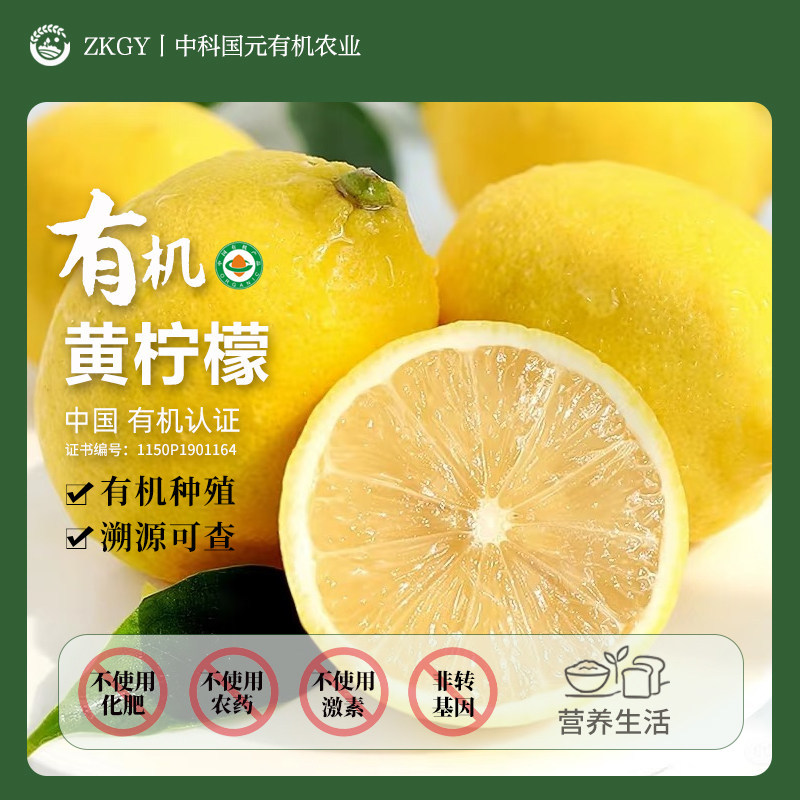 有机黄柠檬新鲜水果酸甜可口