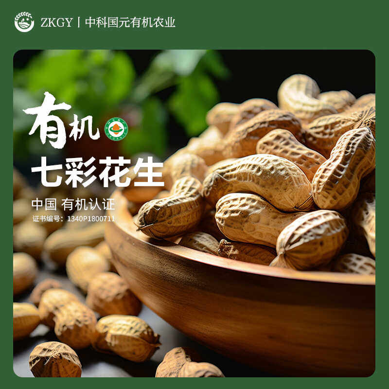 有机七彩花生400g新鲜花生晒干带壳云南农家零食2024