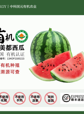 有机西瓜新鲜水果当季时令小西瓜