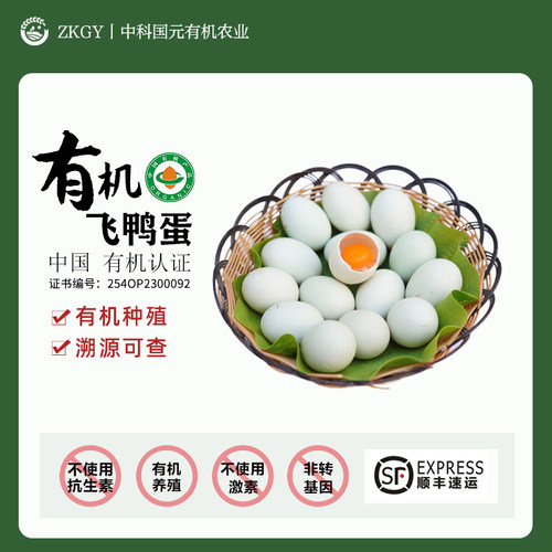 有机鸭蛋绿头鲜鸭飞鸭
