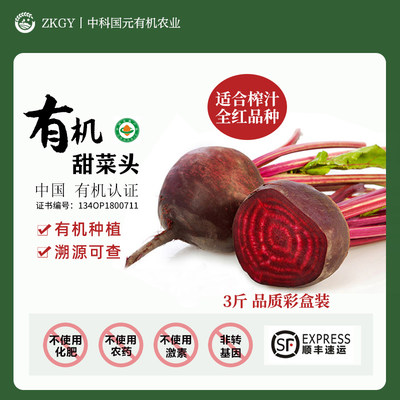 云南高原有机甜菜根新鲜红甜菜头