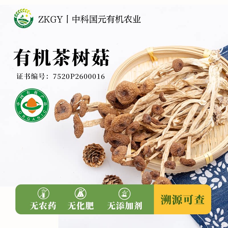 【新品】有机茶树菇无农药化肥添加剂有机认证溯源可查煲汤香菇类
