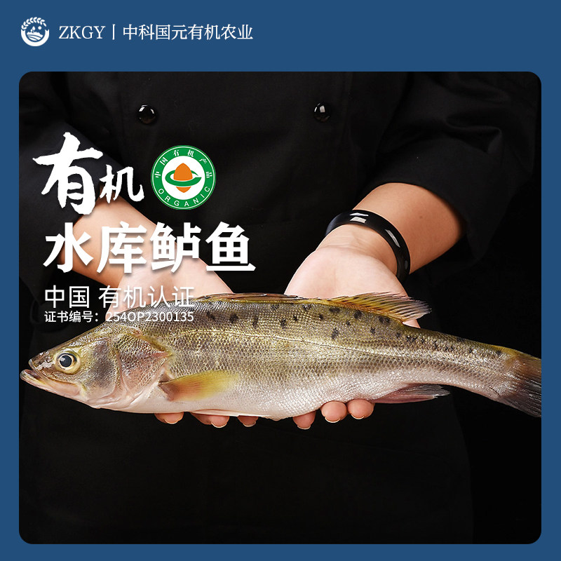 有机鲈鱼水库冷链新鲜冷冻顺丰包邮产地直发品质检测有机养殖认证,水产肉类/新鲜蔬果/熟食,淡水鱼类,淘宝优惠券,粉丝福利购,淘宝优惠卷