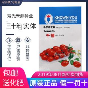 台湾农友千禧小番茄种子苗子 进口 千禧圣女果种籽种苗口感好