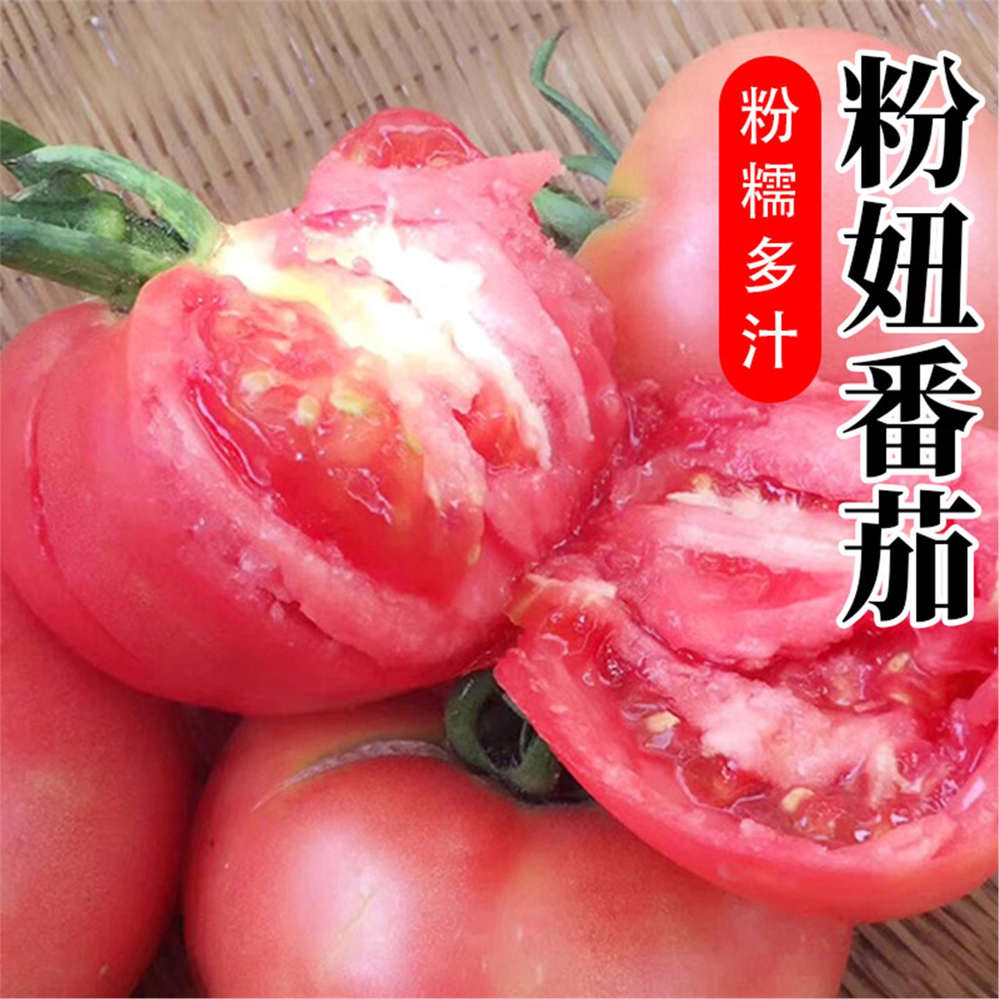 毛粉番茄种籽大西红柿孑阳