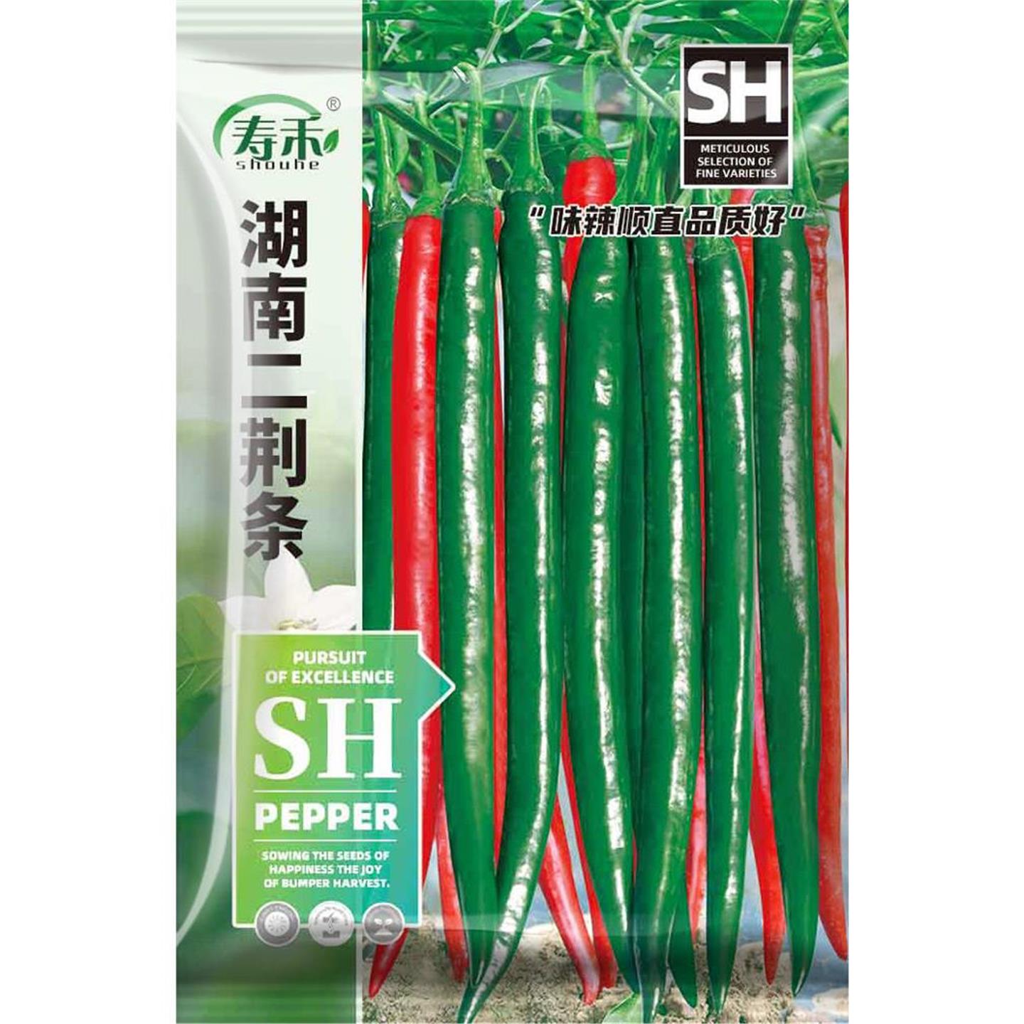 辣椒种子二荆条天水麻烫籽