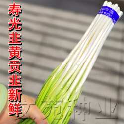 寿光韭黄韭白独根红韭菜种子籽太白韭菜四季可食用盆栽新鲜韭菜根