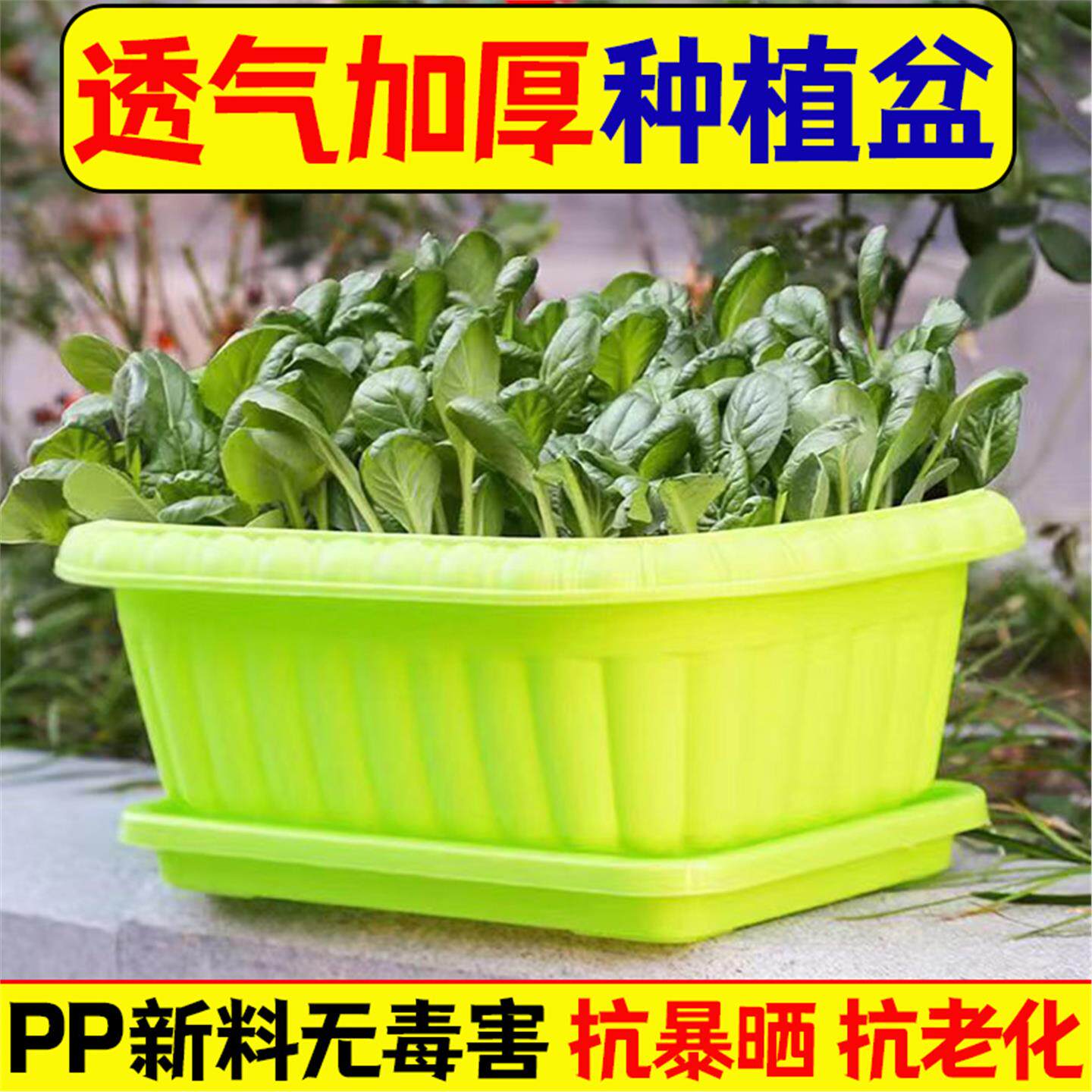 花盆家庭菜园阳台种深型植