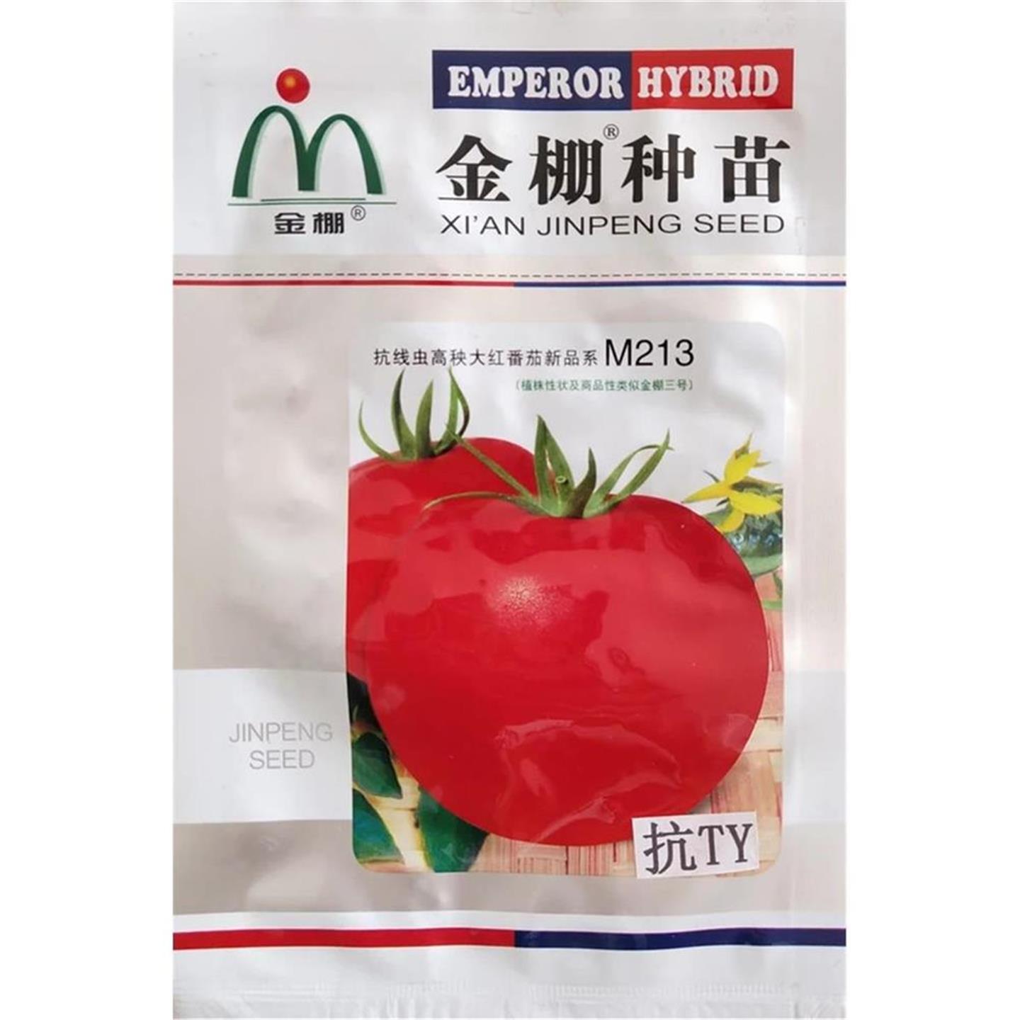 种苗M213番茄子大红抗TY田