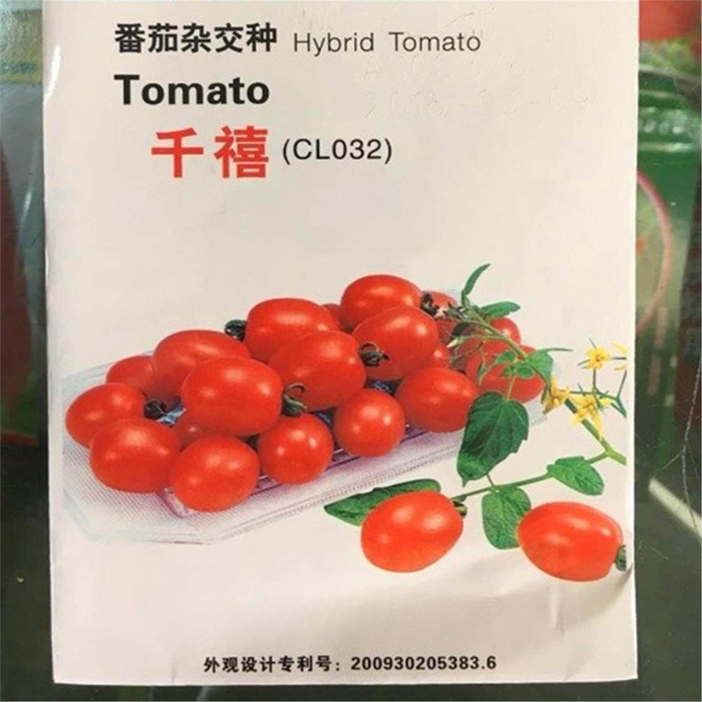 台湾农友千禧小番茄种子苗