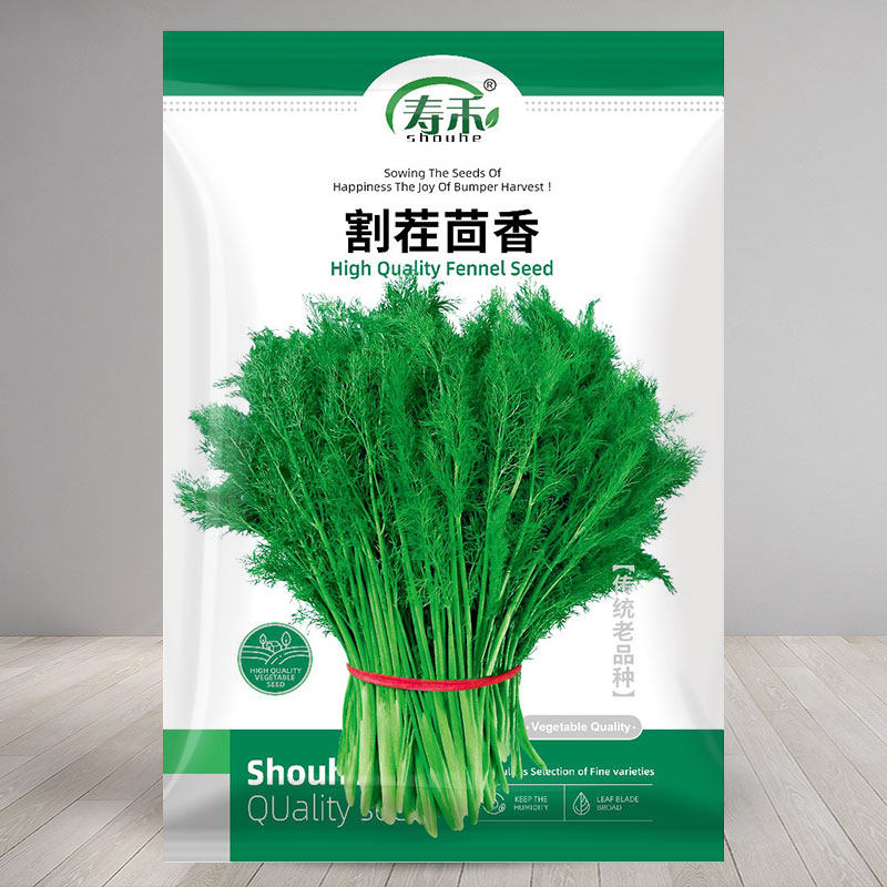 割茬茴香种子籽苗孑小回菜