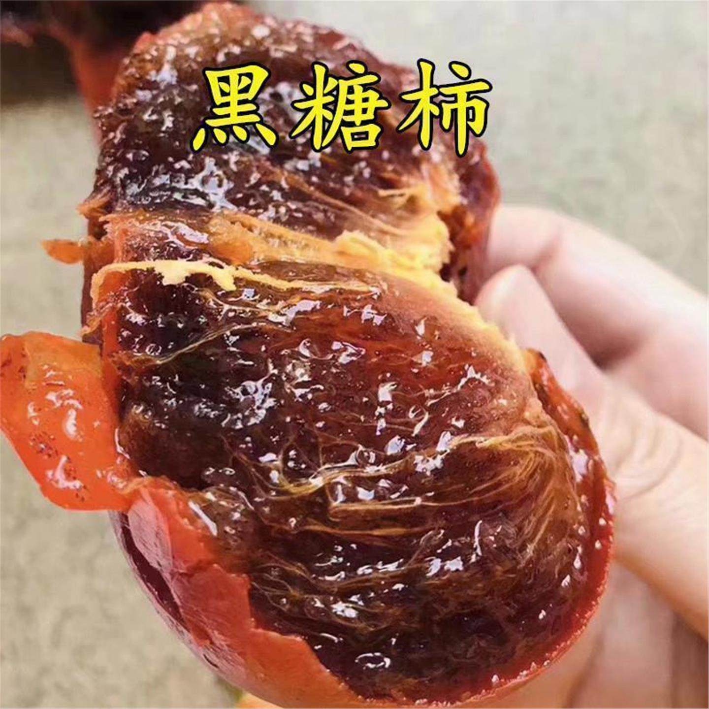 嫁接黑宝石柿巧克力布丁果