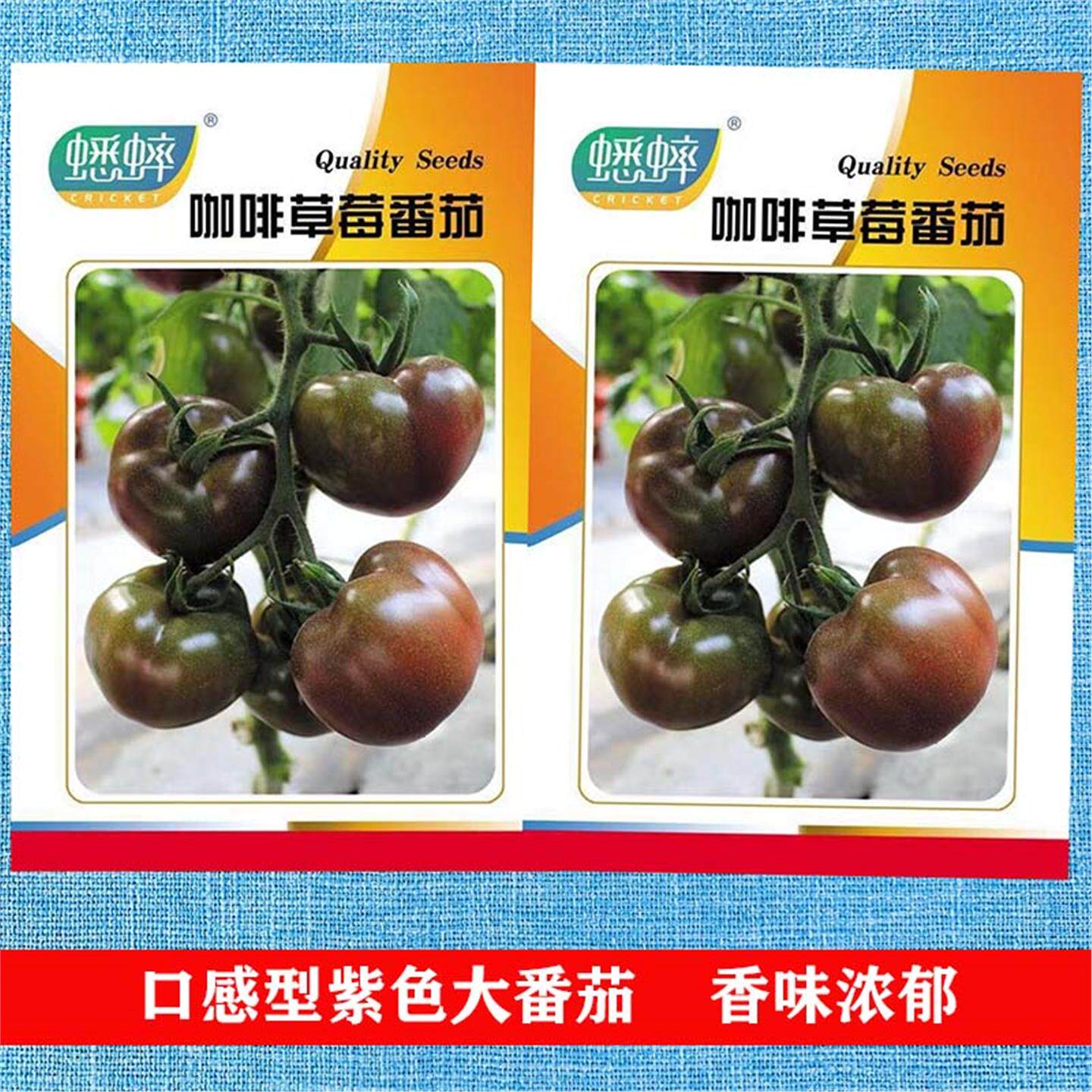 咖啡草莓番茄种子沙瓤春季