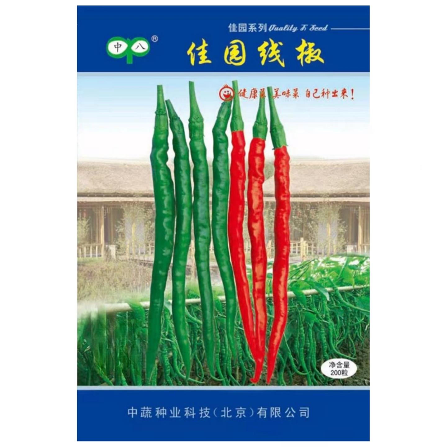 佳园线椒种子高产辣二荆条