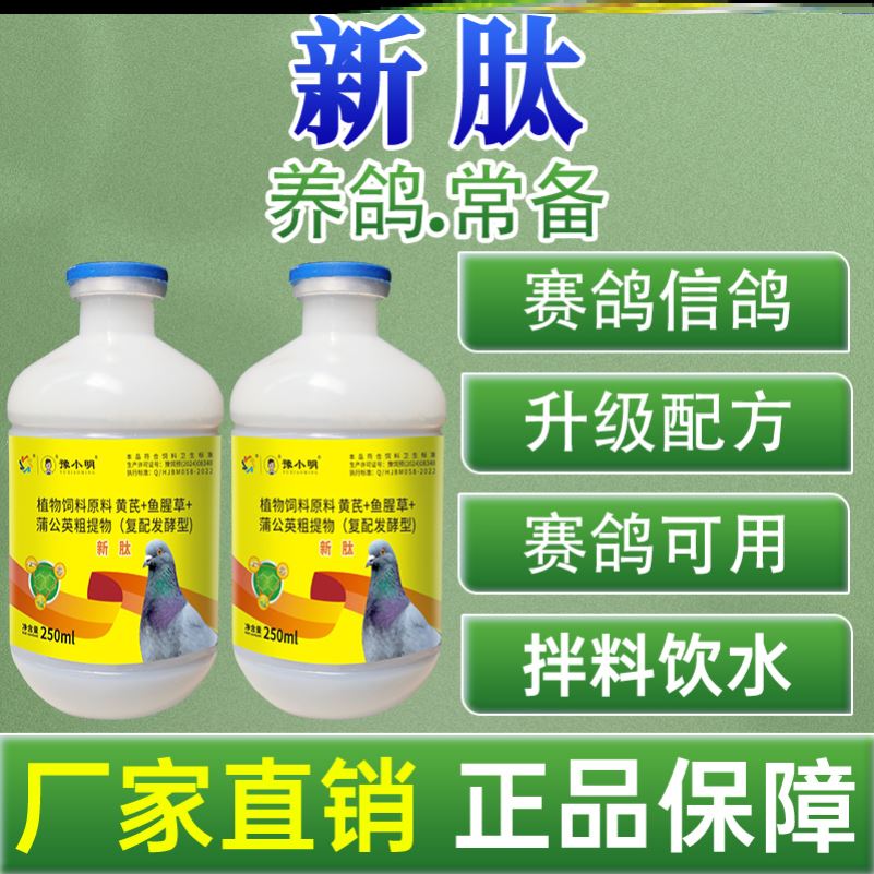 新肽嗦囊积食赛鸽绿便鸽子歪头歪脖鸽子新肽 正品锁头炸毛