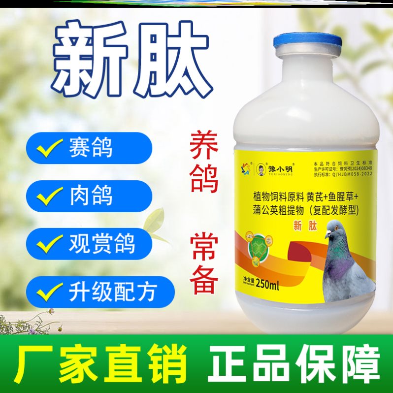 新肽鸽子食欲不振鸽子甩头鸽子歪头歪脖鸽子新肽 正品新肽养鸽