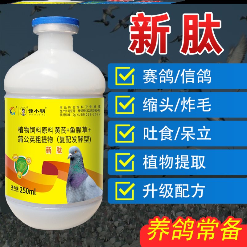 新肽嗦囊积食锁头炸毛鸽子歪头歪脖鸽子新肽 正品鸽子食欲不振