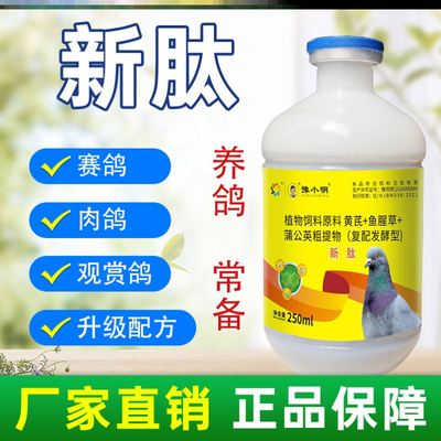 新肽新太鸽子歪头歪脖嗦囊积食赛鸽绿便鸽子食欲不振新肽养鸽