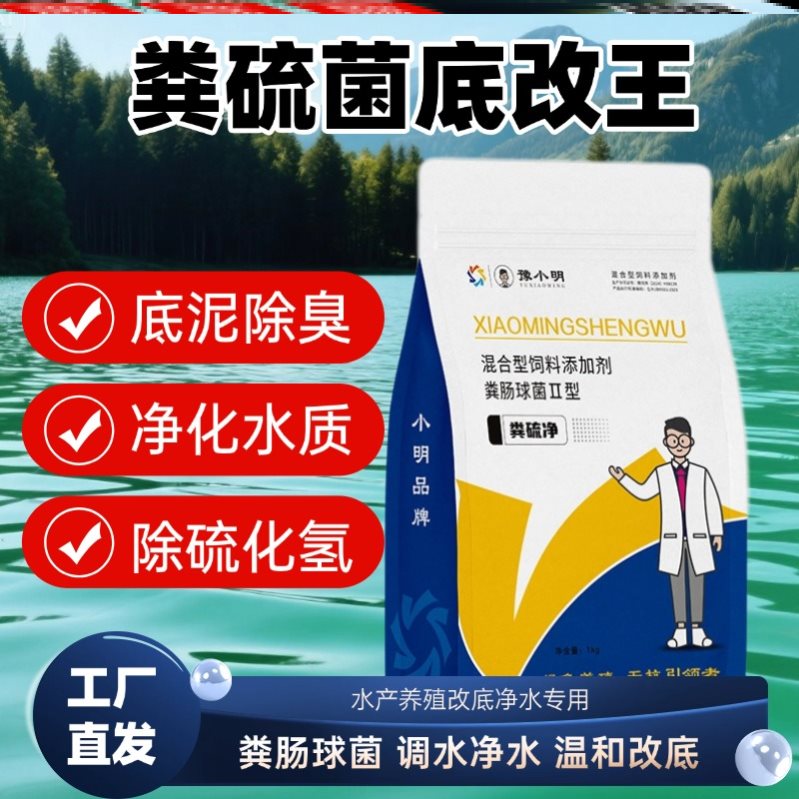 粪硫净粪硫肽水产用粪硫菌颗粒改底粪硫菌底改水产养殖改底