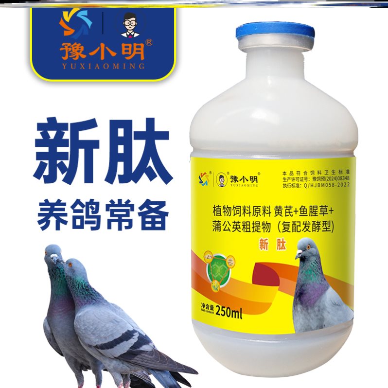 新肽鸽用鸽子新肽 正品鸽子歪头歪脖鸽子炸毛鸽子食欲不振
