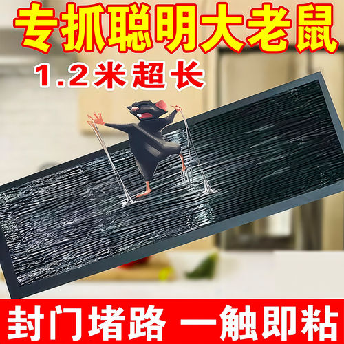强力粘鼠板抓粘大老鼠贴胶捕鼠老鼠神器隐形家用大号灭黏粘鼠魔毯