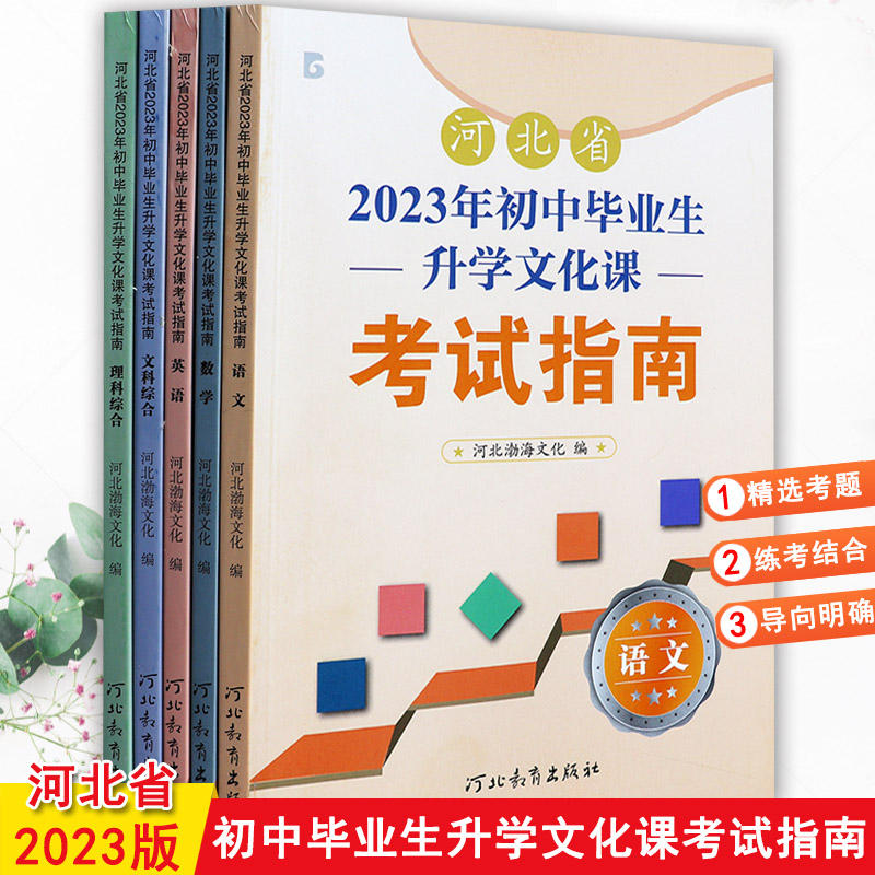 2023河北中考考试说明语文数学英语文综理综复习资料河北初中毕业生升学文化课考试指南专项练习河北中考必刷题中考考什么大纲解析