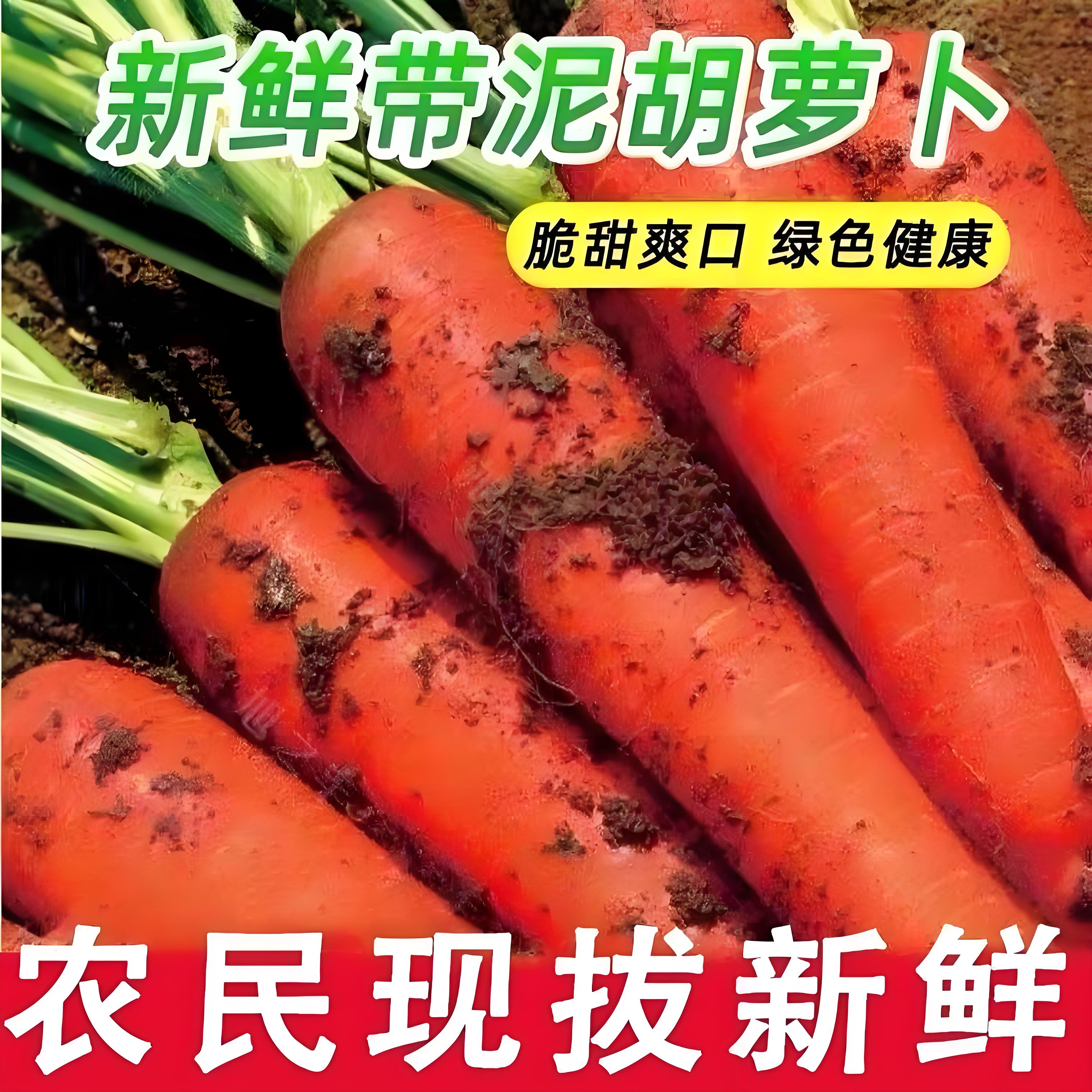 河南产地直供现挖新鲜脆甜胡萝卜