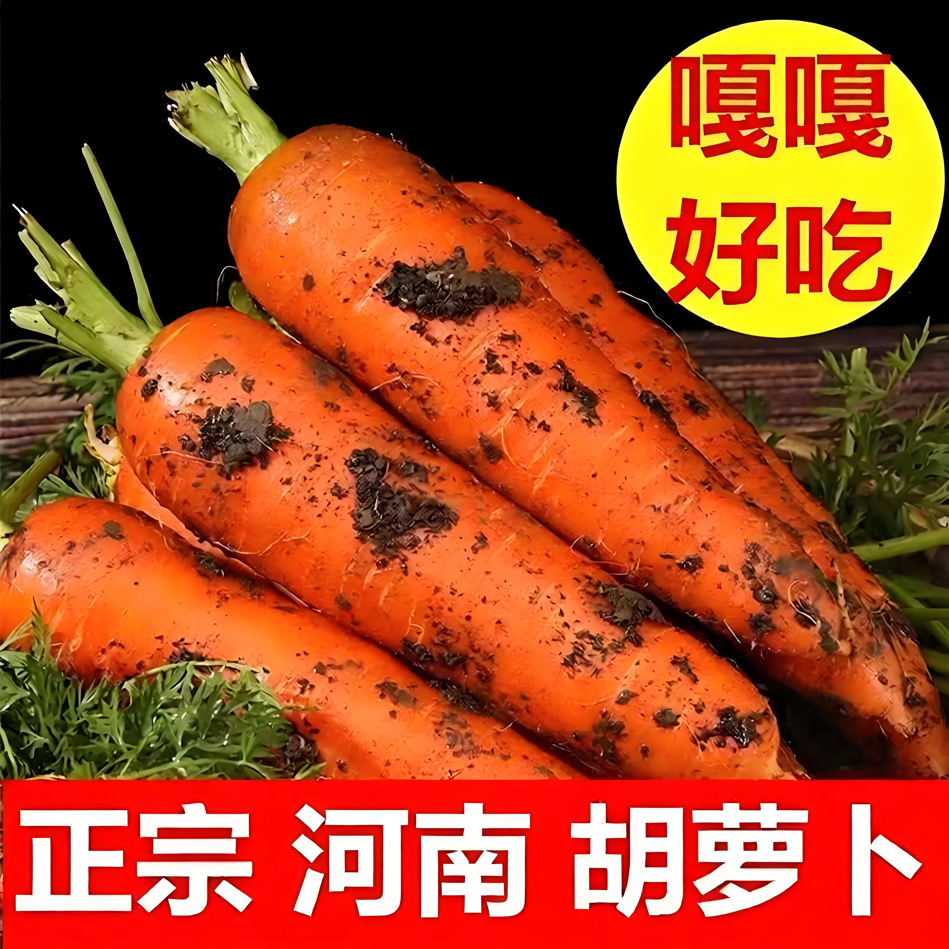 当季河南沙地新鲜带泥香甜胡萝卜