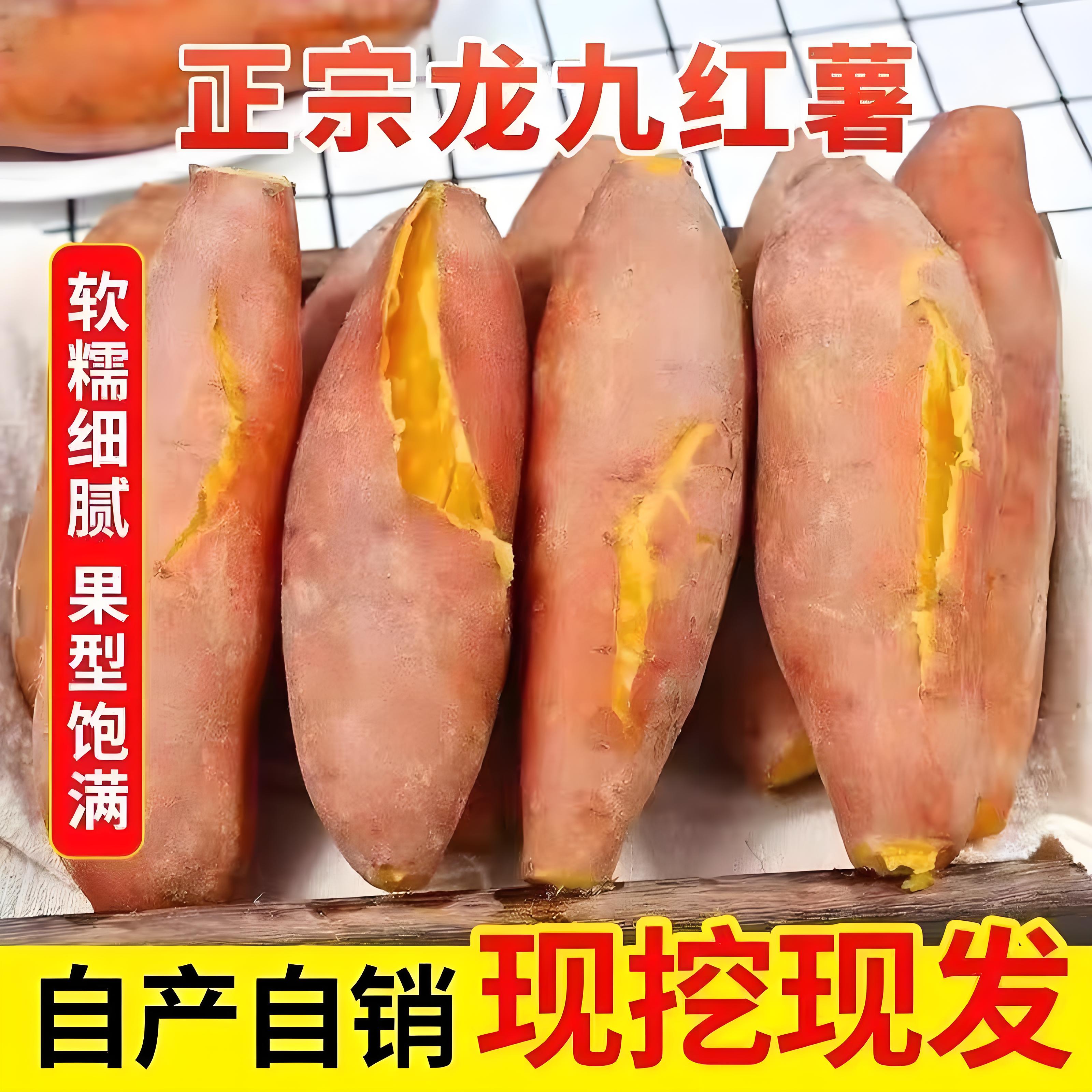 新鲜沙地自种现挖龙九蜜薯烤地瓜