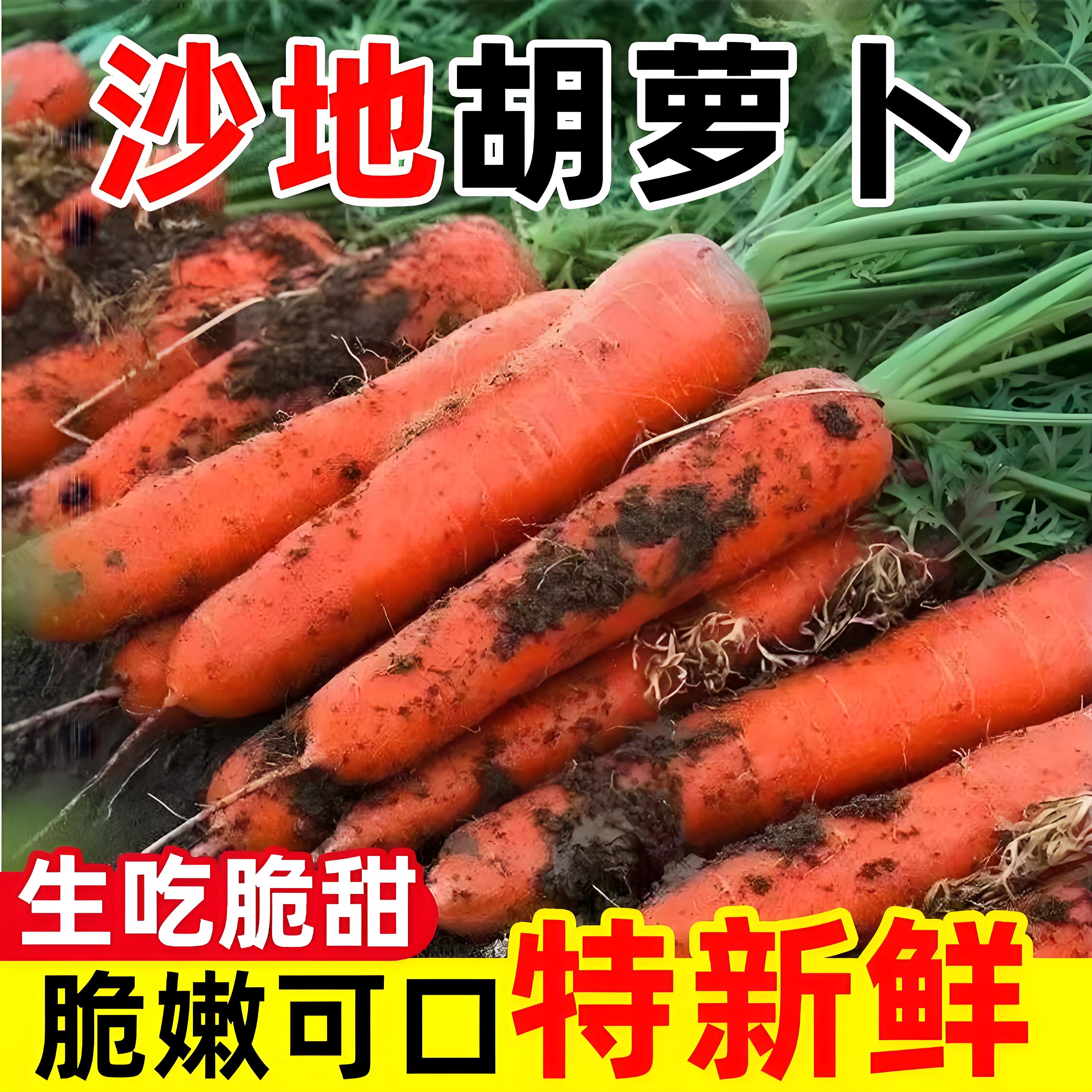河南现挖带泥脆甜生吃胡萝卜脆甜