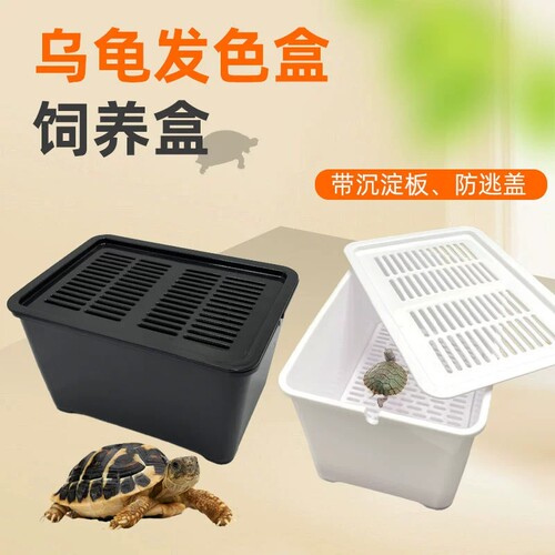 乌龟隔离盒带盖可加温发色饲养盒