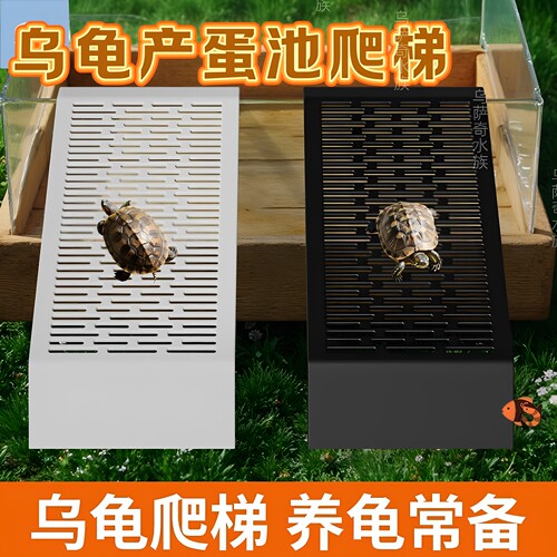 乌龟产蛋池爬梯周转箱壁挂式